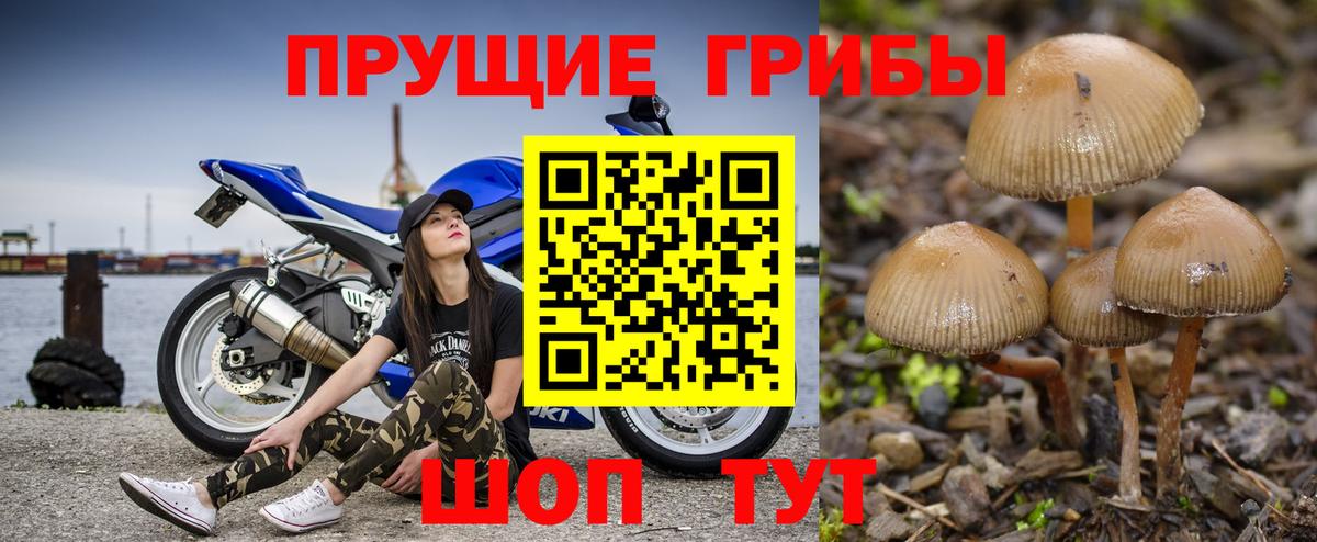 Псилоцибиновые грибы MAGIC MUSHROOMS Первоуральск