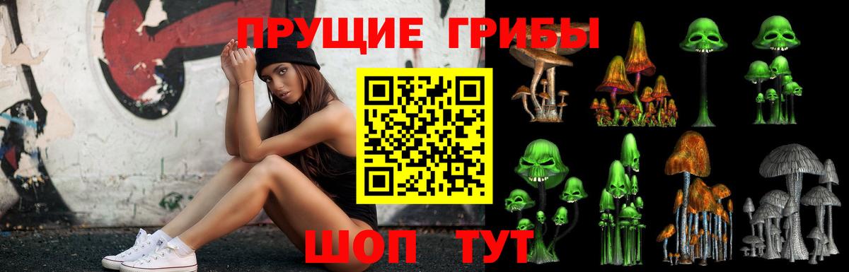 Первоуральск  Галлюциногенные грибы GOLDEN TEACHER  Вход с VPN 